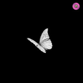 Butterfly 75bpm| SAD / BOOM...